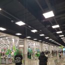 매소홀로2L | 구월동 트레이더스 홀세일 클럽 구월점 2월 방문 후기