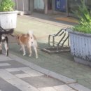 인천향교회관 이미지