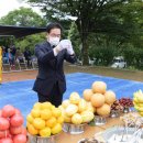 영천지구 전승비 이미지