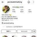 별누리헤어 | 가성비 헤어변형을 찾아라 프로젝트 .. 최종 연둣빛살롱 계약 후기