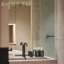 신사동피부관리 오셀라스 스파 위치.가격.시간.후기