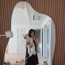 포레스트 명례 | 올 여름 부산 가족 피서 숙소 포레스트명례 추천 (기장 반려견동반, 프라이빗 운동장, 위치, 주차)