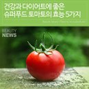 슈퍼푸드 토마토 이미지