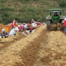 안정농업 자재센터 이미지