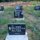 오랫만에 고향마을ㆍ백곡 들렸다 왔는데 이미지