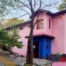 깊은산속 이미지