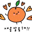 손덕문공인중개사사무소 이미지