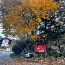 토마토펜션A 이미지