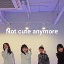 수원-0173 이미지