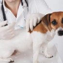 함창약국 이미지