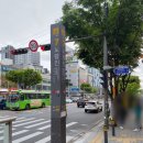 전어박사횟집 | 노량진회포장 맛집 제철 봄도다리 횟집추천 전라상회