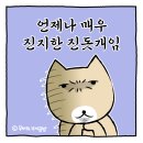 진지하개 이미지