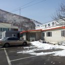 4월4일 용평(용평-주문진-죽도해수욕장 서퍼911-대명시즌방-서울복귀) 이미지