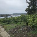 회수동-1 이미지