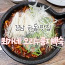최가네 | [경남 하동] 하동 진교 맛집 최가네 오리누룽지백숙 내돈내산 방문후기