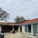 월오포레스트 이미지