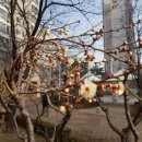 매화정원어린이집 이미지