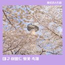 31140-6-83-21 | 블라썸피크닉 83타워 벚꽃길 대구 이월드 벚꽃축제 일정