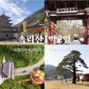 국내 겨울 여행지 추천 대추골주민여행사의 속리산 1박2일 패키지