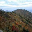 단풍 - 경산시 | 단풍