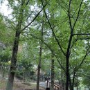 구슬비 공원 | 파리예술제수상작이 걸려있는 절 광주 무각사 미술관 같은사찰