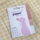 삐뽀PIPPO강아지소변검사키트 후기 | 펫펄스랩 강아지건강검진 쉽게 하는 방법