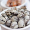 문학해설 체험 이미지