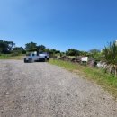 오멍가멍 애견카페&호텔 이미지