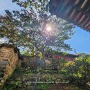 중앙제관(주)