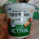 비건요거트 풀무원다논 식물성액티비아 내돈내산 후기
