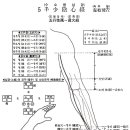 [手少陰心經][수소음심경] 이미지