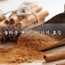 계피의 놀라운 효능 이미지