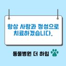 태평역 동물병원 이미지