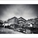 구평농장 이미지