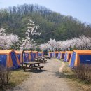 소래습지생태공원(안내소) | 인천 봄 나들이 무료 공원 4곳 비교 (인천대공원·소래습지·송도 센트럴파크·월미공원)
