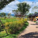 요천생태습지공원 주차장 이미지