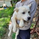 옥천원마트 이미지