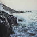 일상글쓰기 이미지