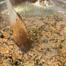 진미감자탕 이미지