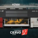 시에르보(CIERVO)