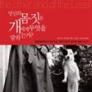 페티앙 애견미용 이미지