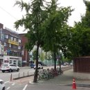 문효성 행정사 사무소 이미지