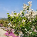 양지말펜션 이미지