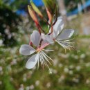 옥곡 축산 이미지