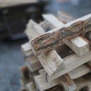 입화산참살이숲야영장 이미지