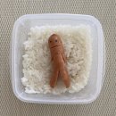 머리털자리