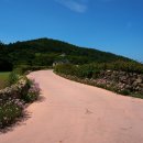 화랑포주유소 이미지