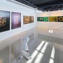 한강뮤지엄 | 남양주 드라이브 코스 추천! 온데 식사 후 즐기는 가성비 갑 '한강뮤지엄' 🎨☕