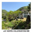 식물원복합식당 | 금산 가볼만한곳 하늘물빛정원 식물원카페 야외정원 찜질방까지 즐기는 힐링 여행