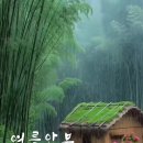 하이힐이 발명된 유래 이미지